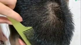 我要学理发视频,跟我学理发，轻松掌握美发技巧