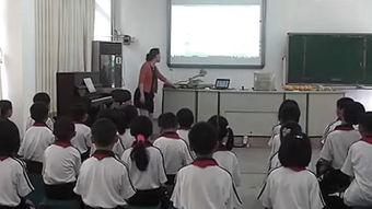 小学生微课视频,小学生视角下的知识之旅