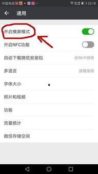 视频聊天录像