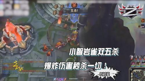 岩雀视频小智,小智带你探索科技与生活的无限可能