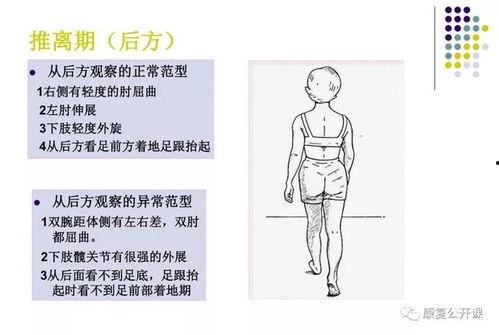 偏瘫按摩手法视频教程,专业指导,轻松康复
