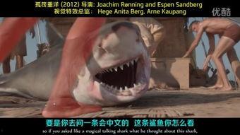 cg鲨视频,揭秘动画制作背后的艺术与科技